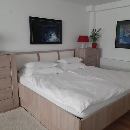 Apartment Berglez Škofja Loka Εξωτερικό φωτογραφία